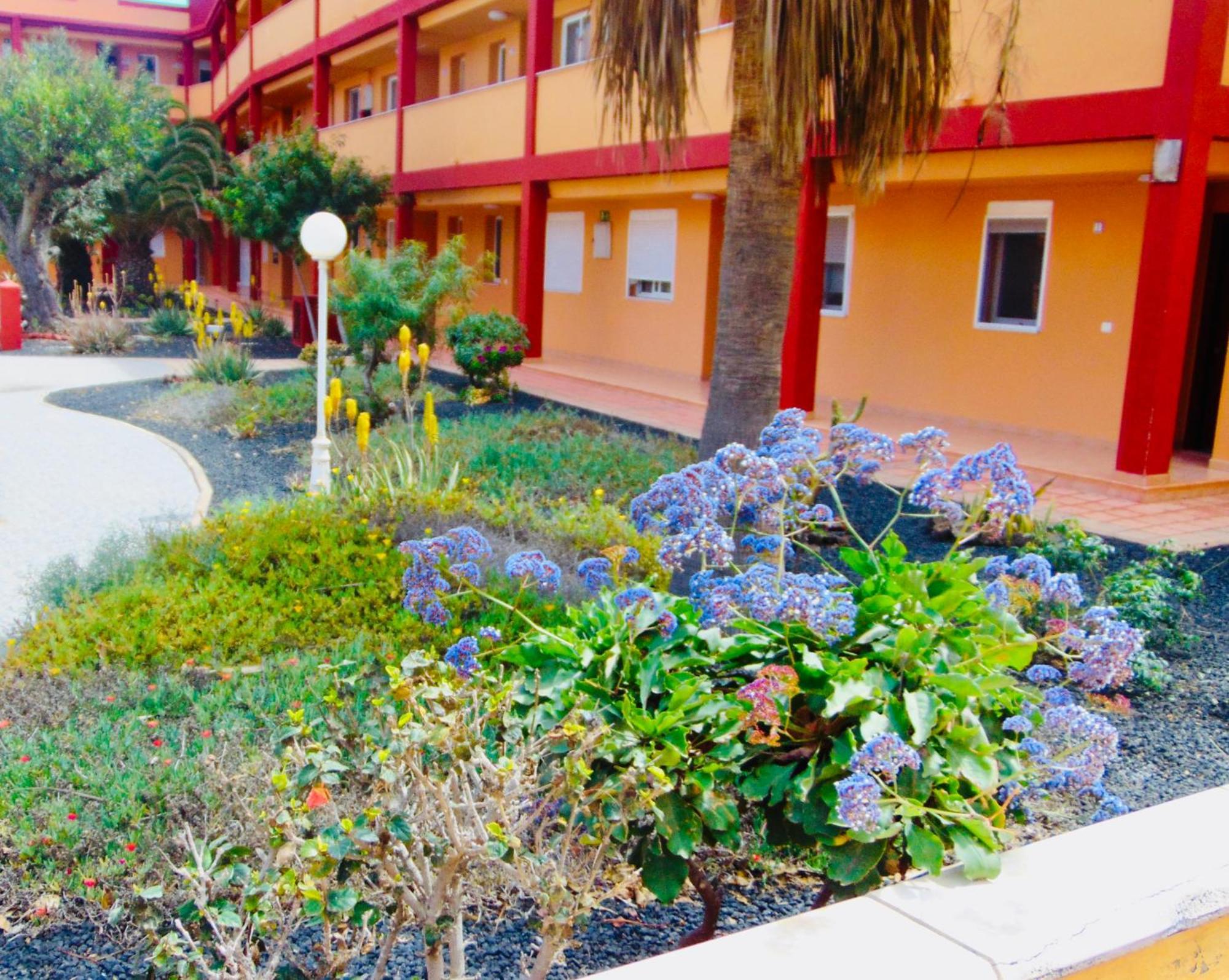Casita La Caleta Fuerteventura Villa Parque Holandes Exterior foto